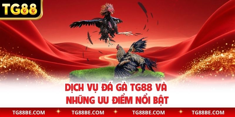 Dịch vụ đá gà TG88 và những ưu điểm nổi bật