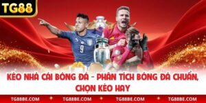 keo-nha-cai-bong-da